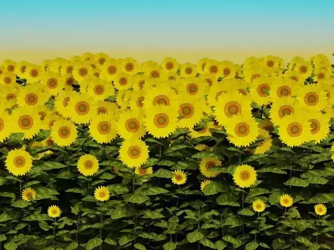 Low poly hand painted sunflowers