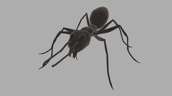 Argentine Ant Rig Simple Free 3D model