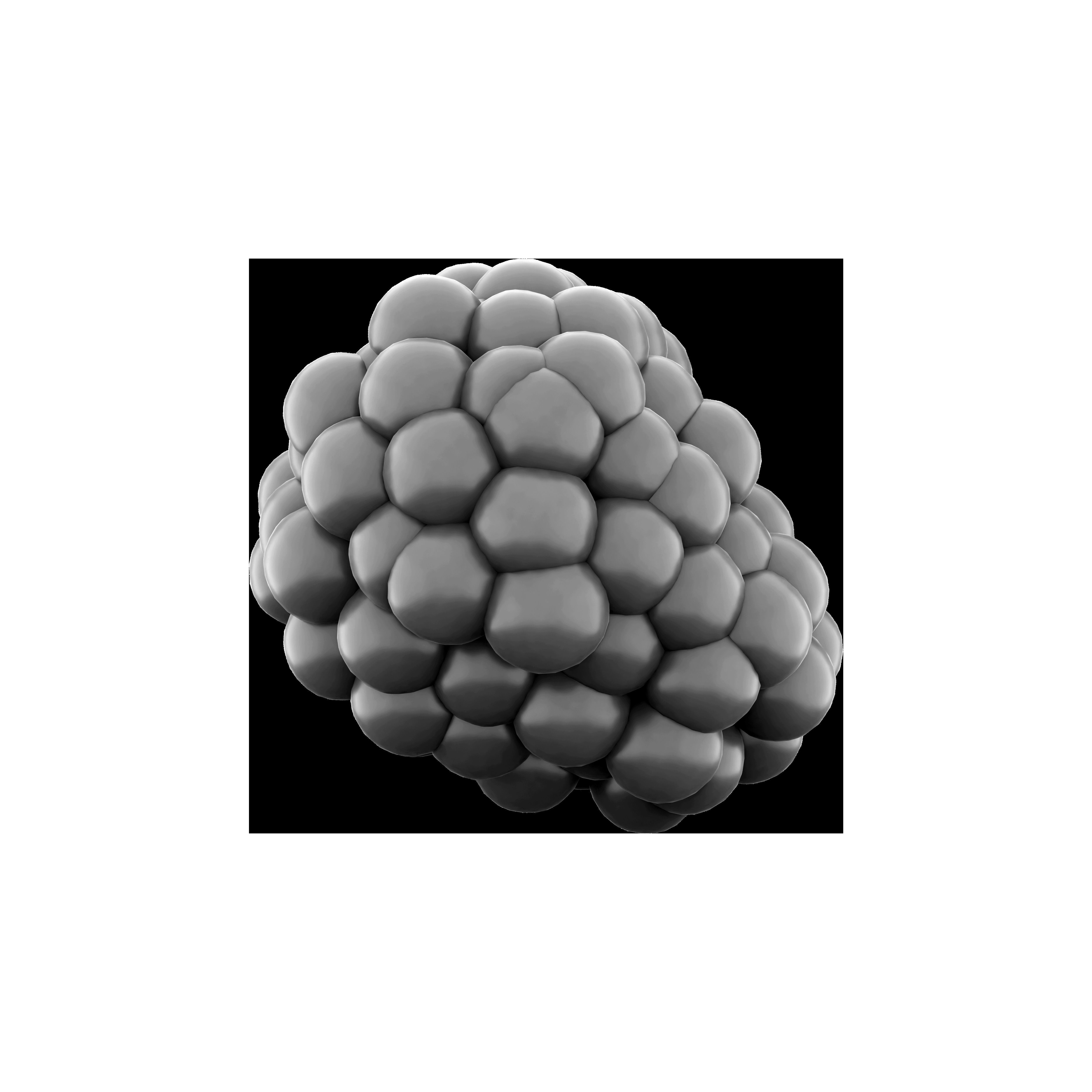 3d sweet and sour blackberry icon 3D model_4