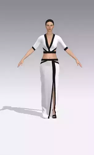 two pieces suit skirt and blouse black and white