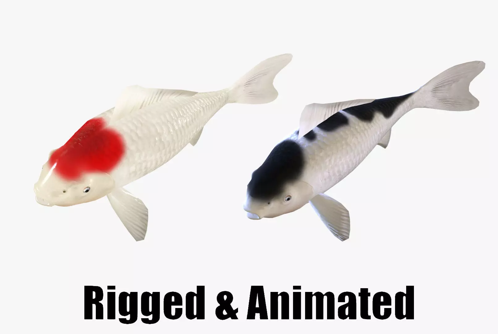 animated carp fish koi Low-poly 3D model_0