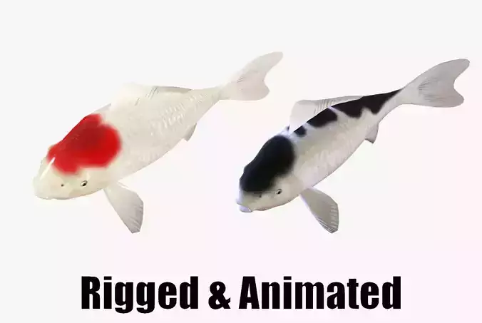 animated carp fish koi Low-poly 3D model