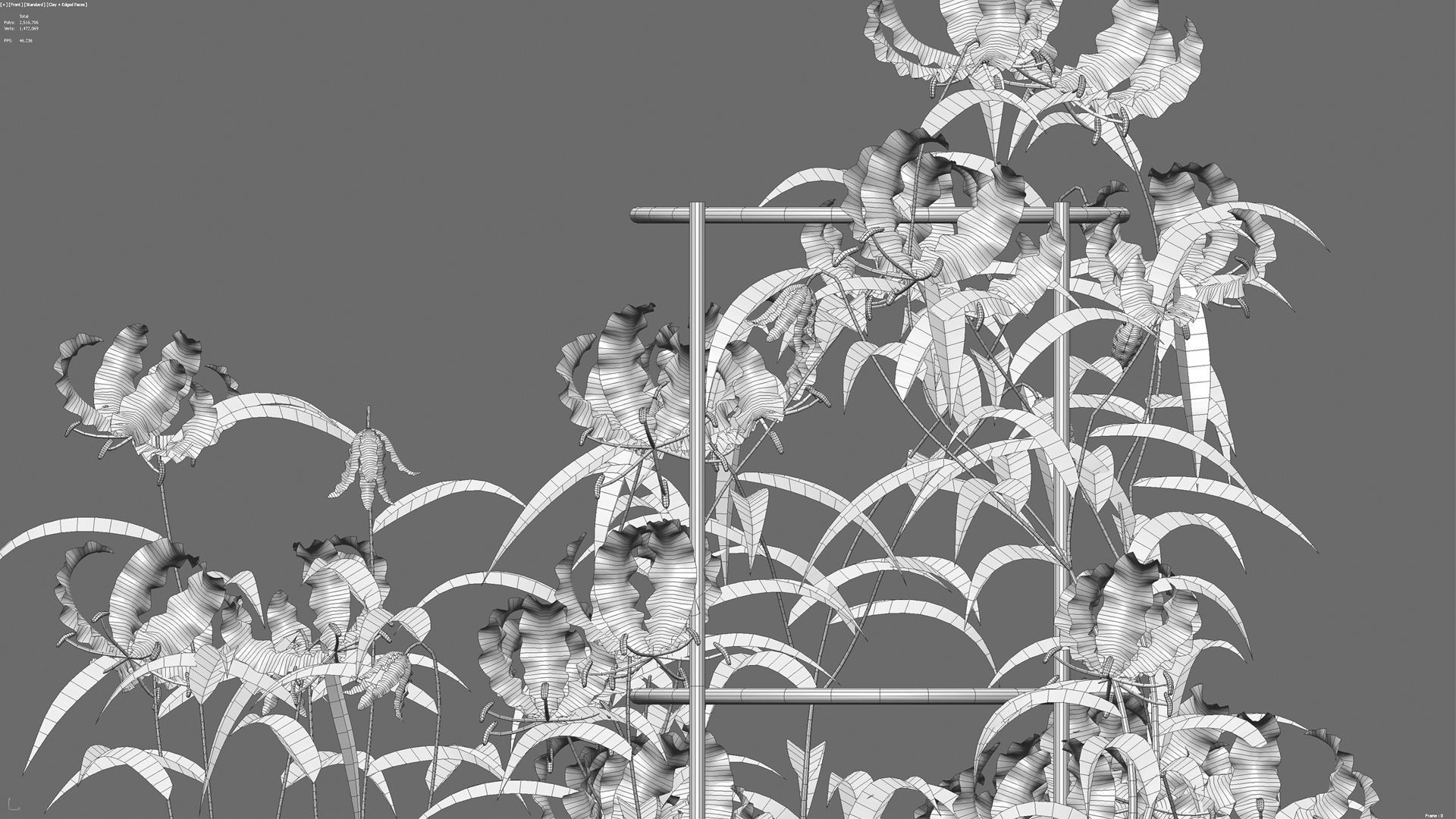 Gloriosa Lily - Flame lily - Climbing Lily 3D model_10