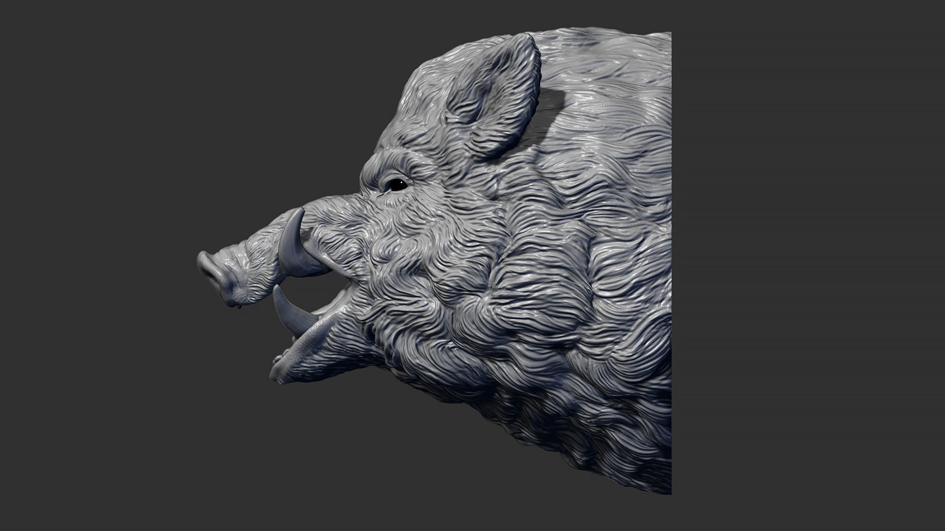Wild boar hog 3D print model_8