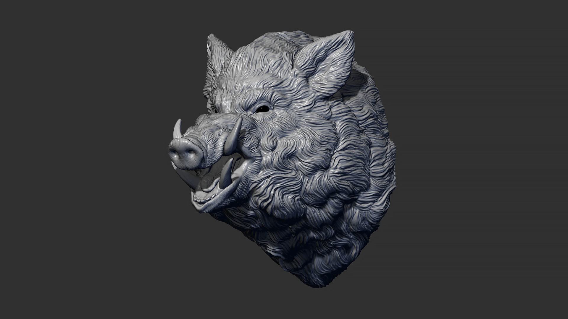 Wild boar hog 3D print model_7