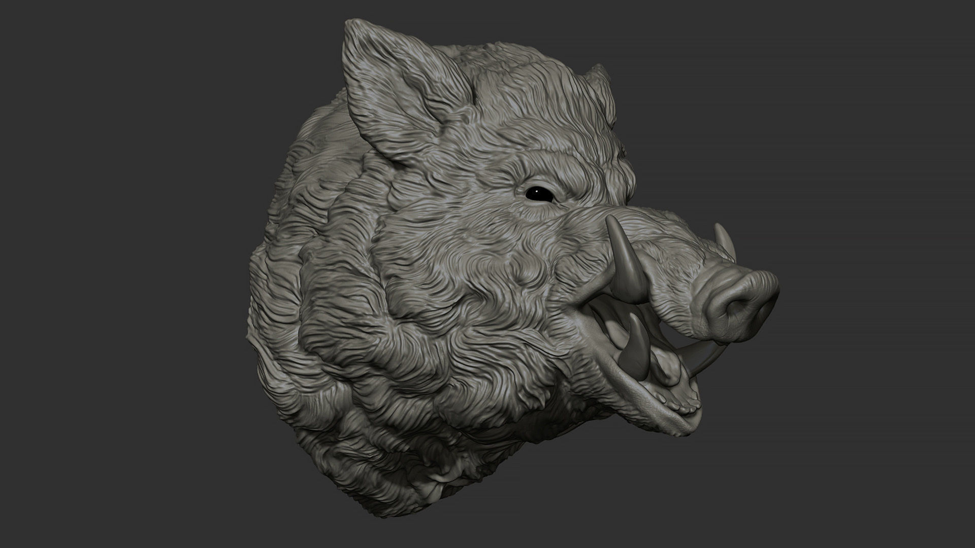 Wild boar hog 3D print model_12
