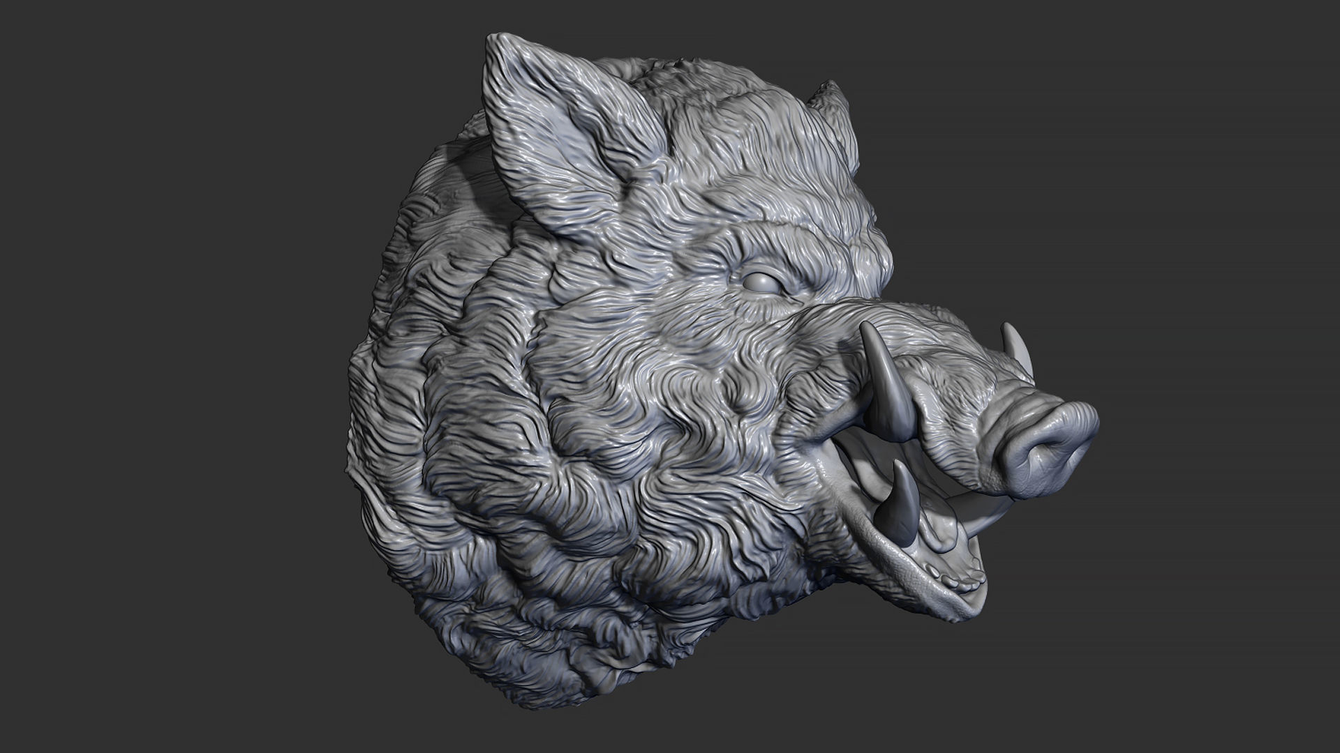 Wild boar hog 3D print model_4