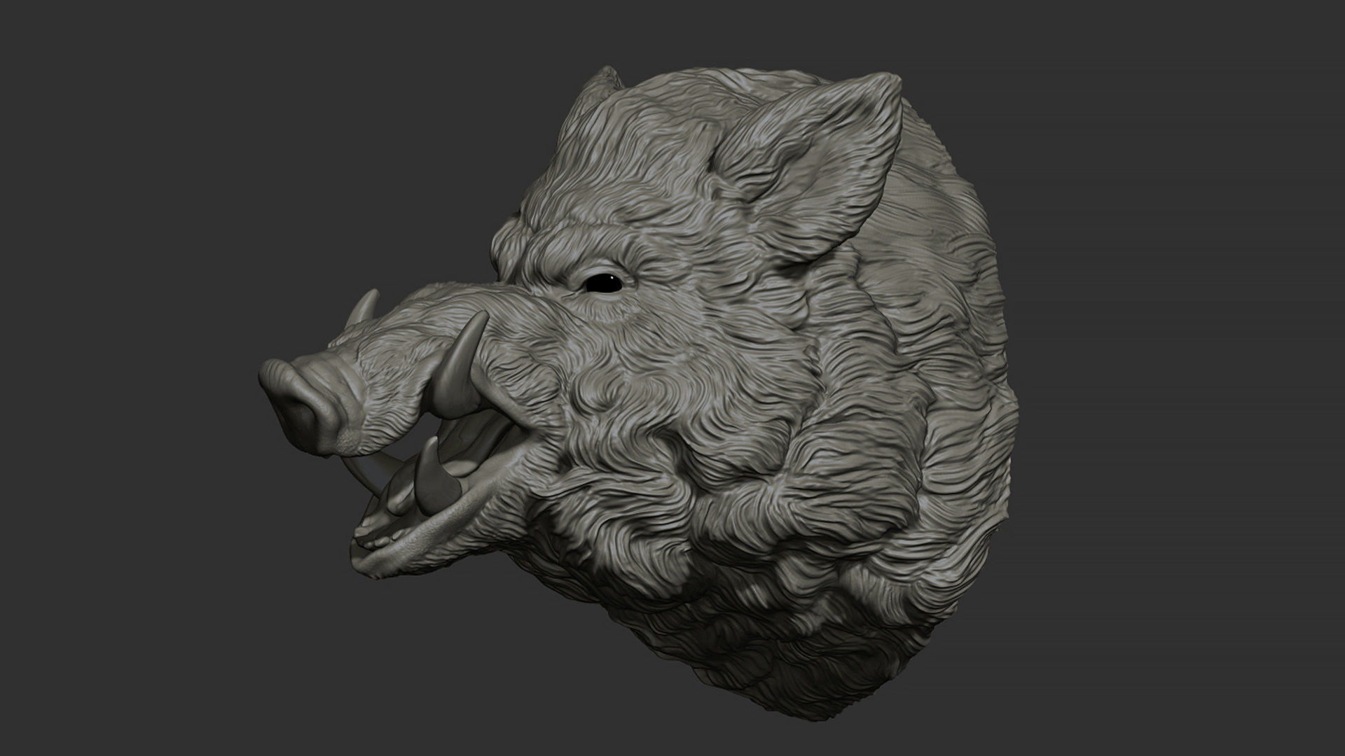 Wild boar hog 3D print model_14