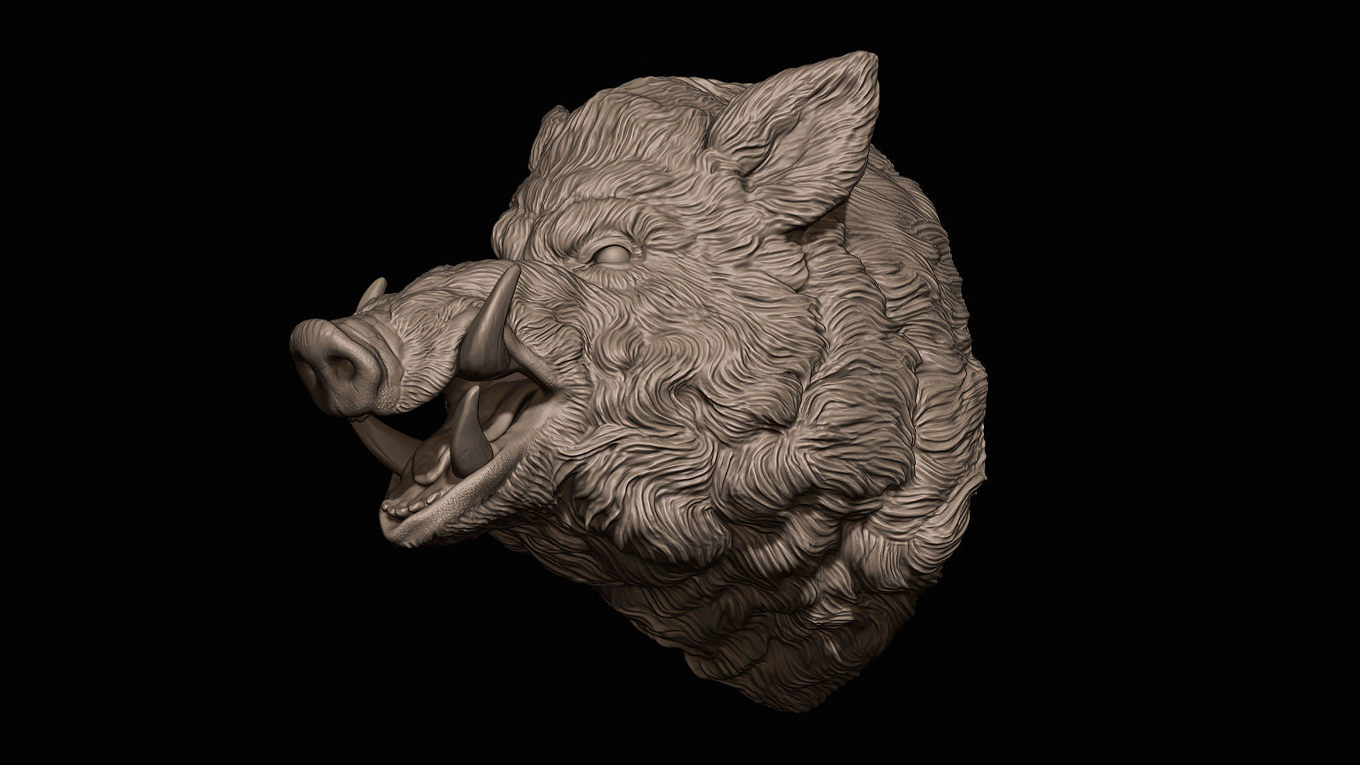 Wild boar hog 3D print model_15