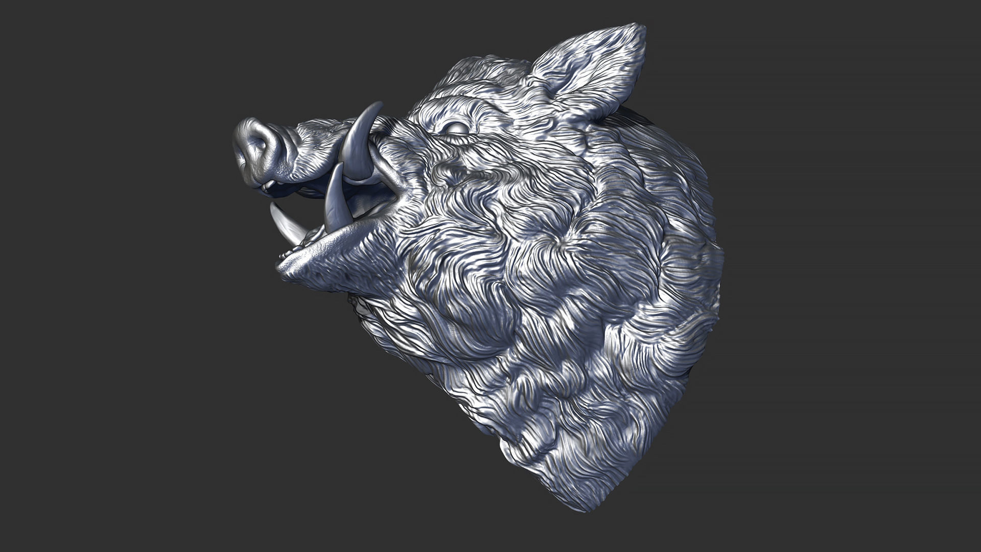 Wild boar hog 3D print model_20