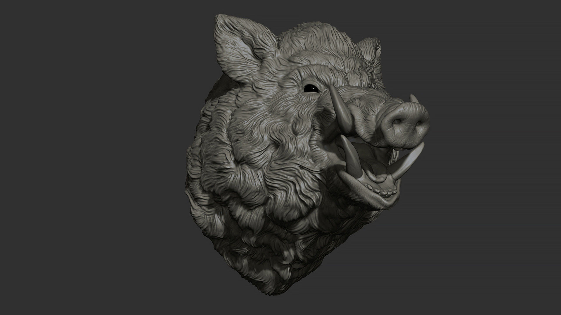 Wild boar hog 3D print model_13