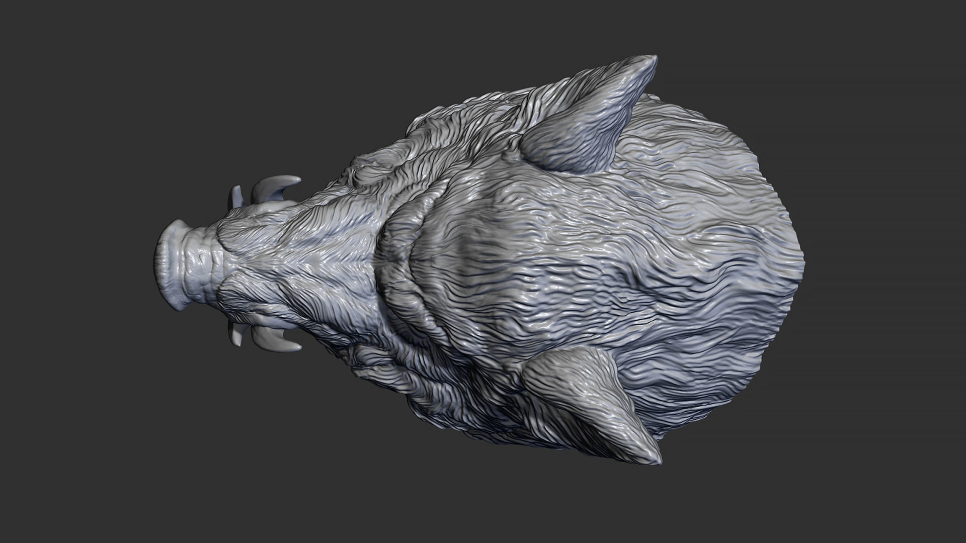 Wild boar hog 3D print model_5