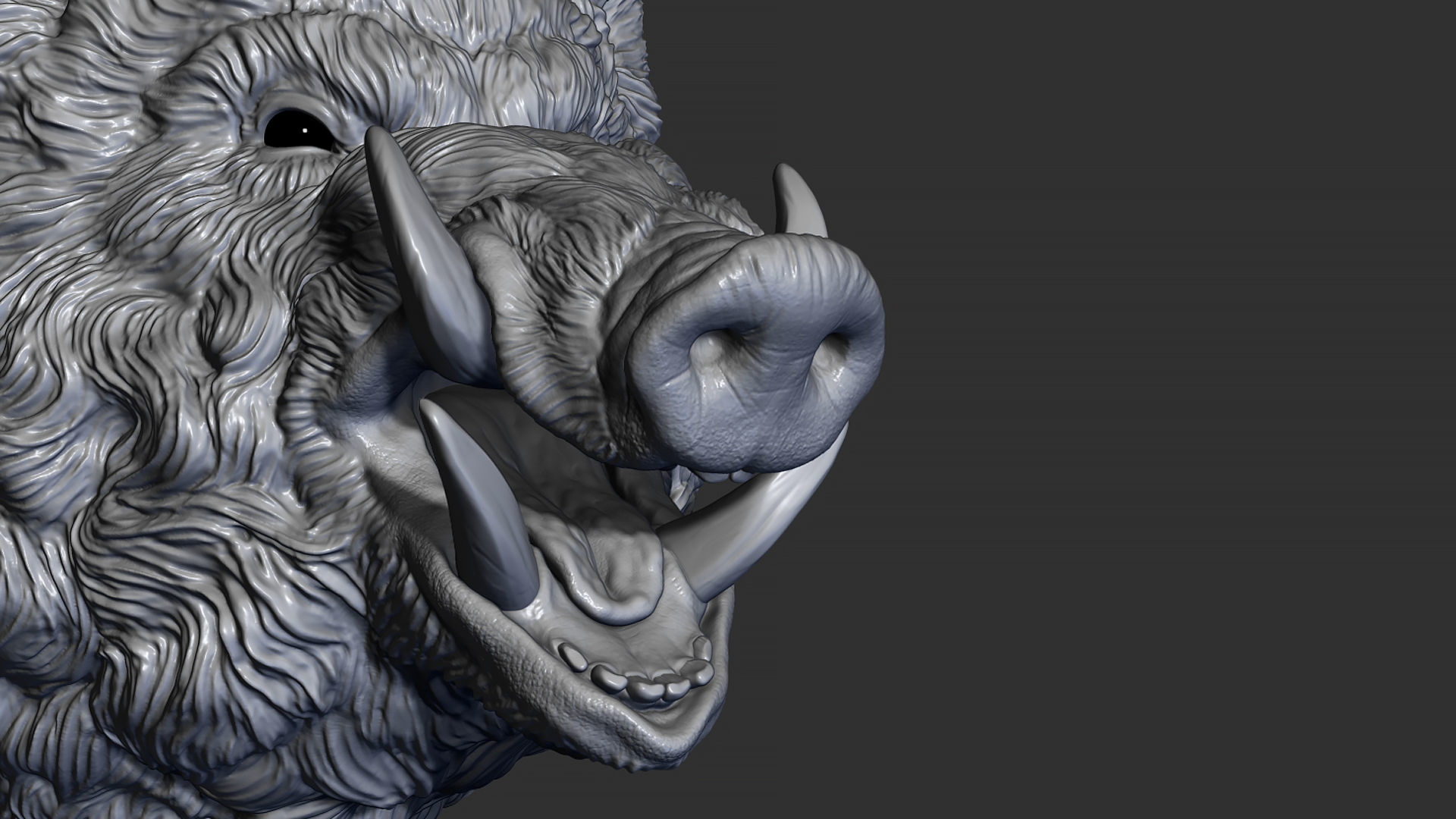 Wild boar hog 3D print model_1