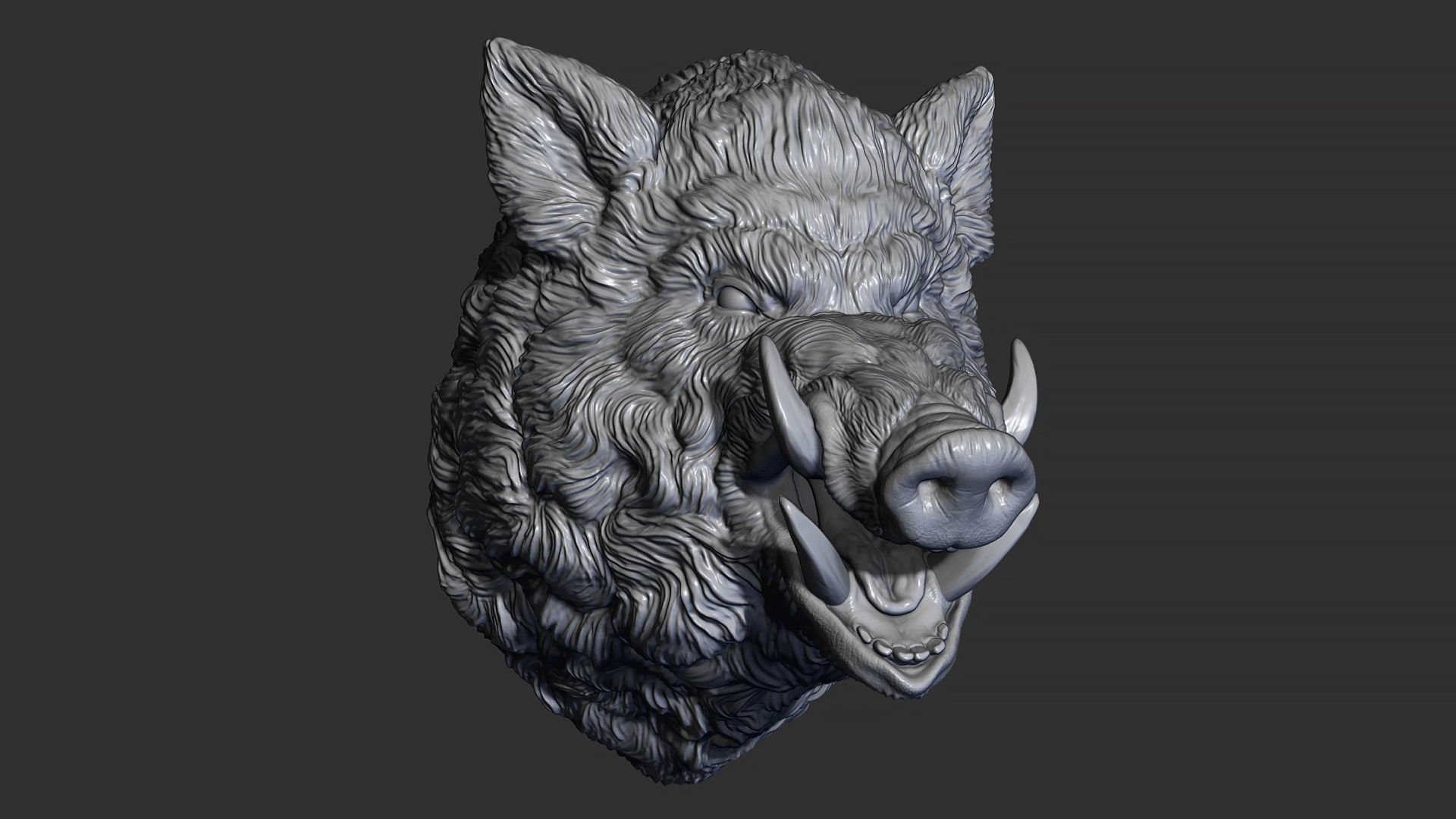 Wild boar hog 3D print model_3