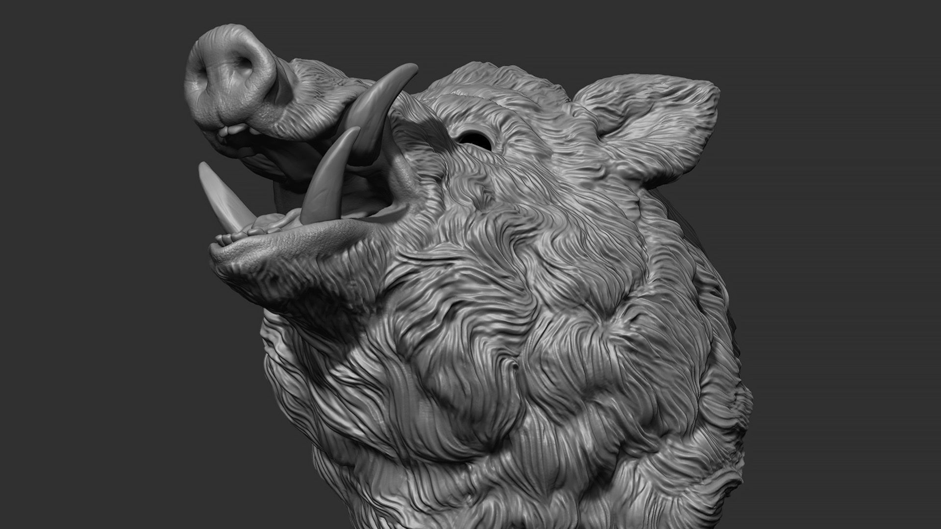 Wild boar hog 3D print model_11