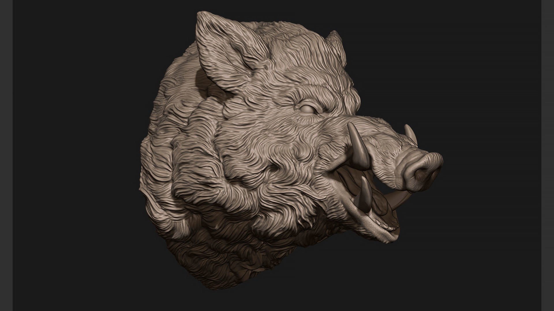 Wild boar hog 3D print model_19