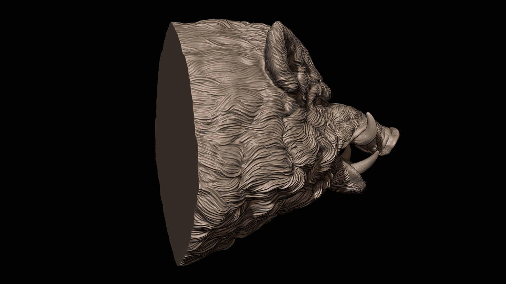 Wild boar hog 3D print model_17