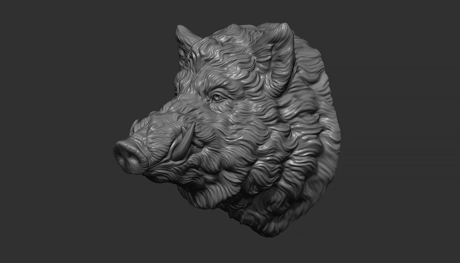 Wild boar head 3D print model_11