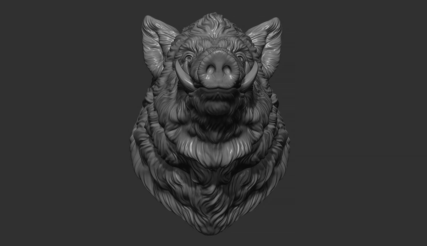 Wild boar head 3D print model_8
