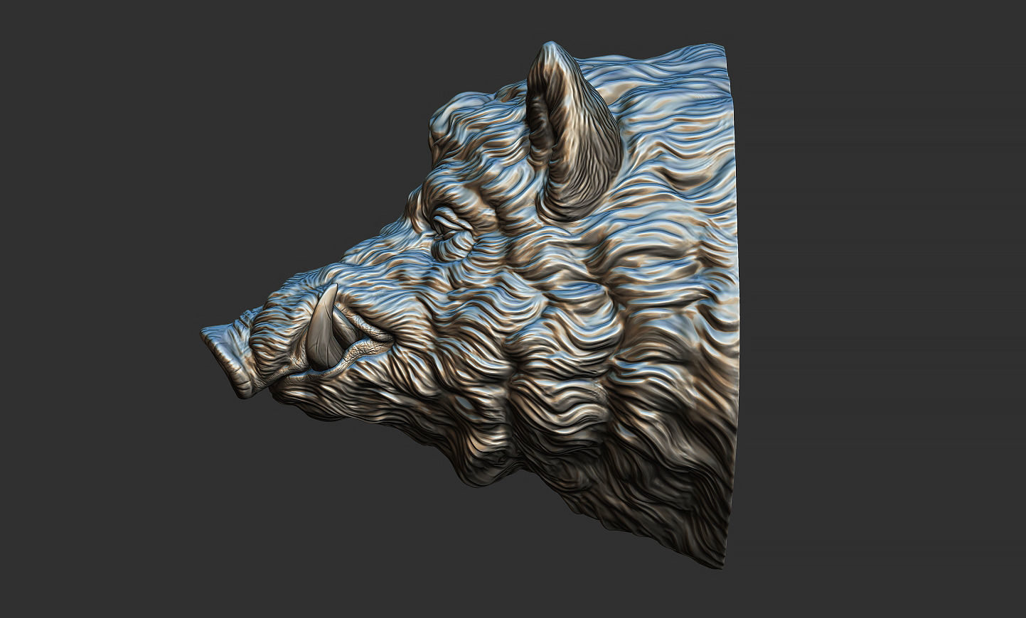 Wild boar head 3D print model_2