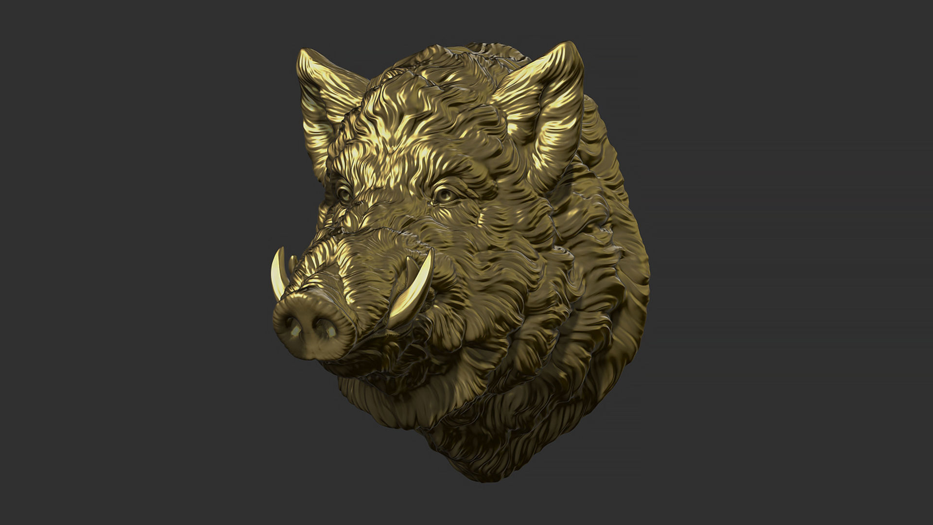 Wild boar head 3D print model_3