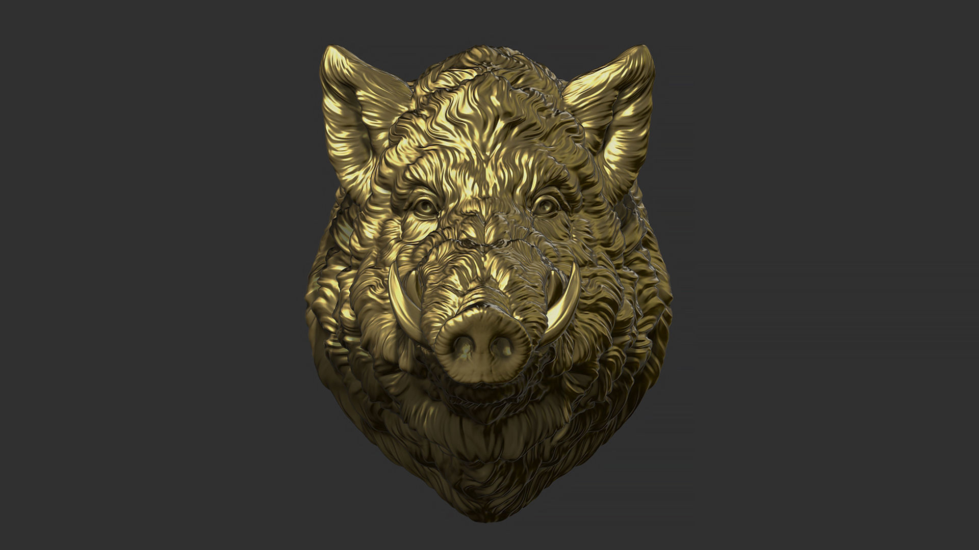 Wild boar head 3D print model_4