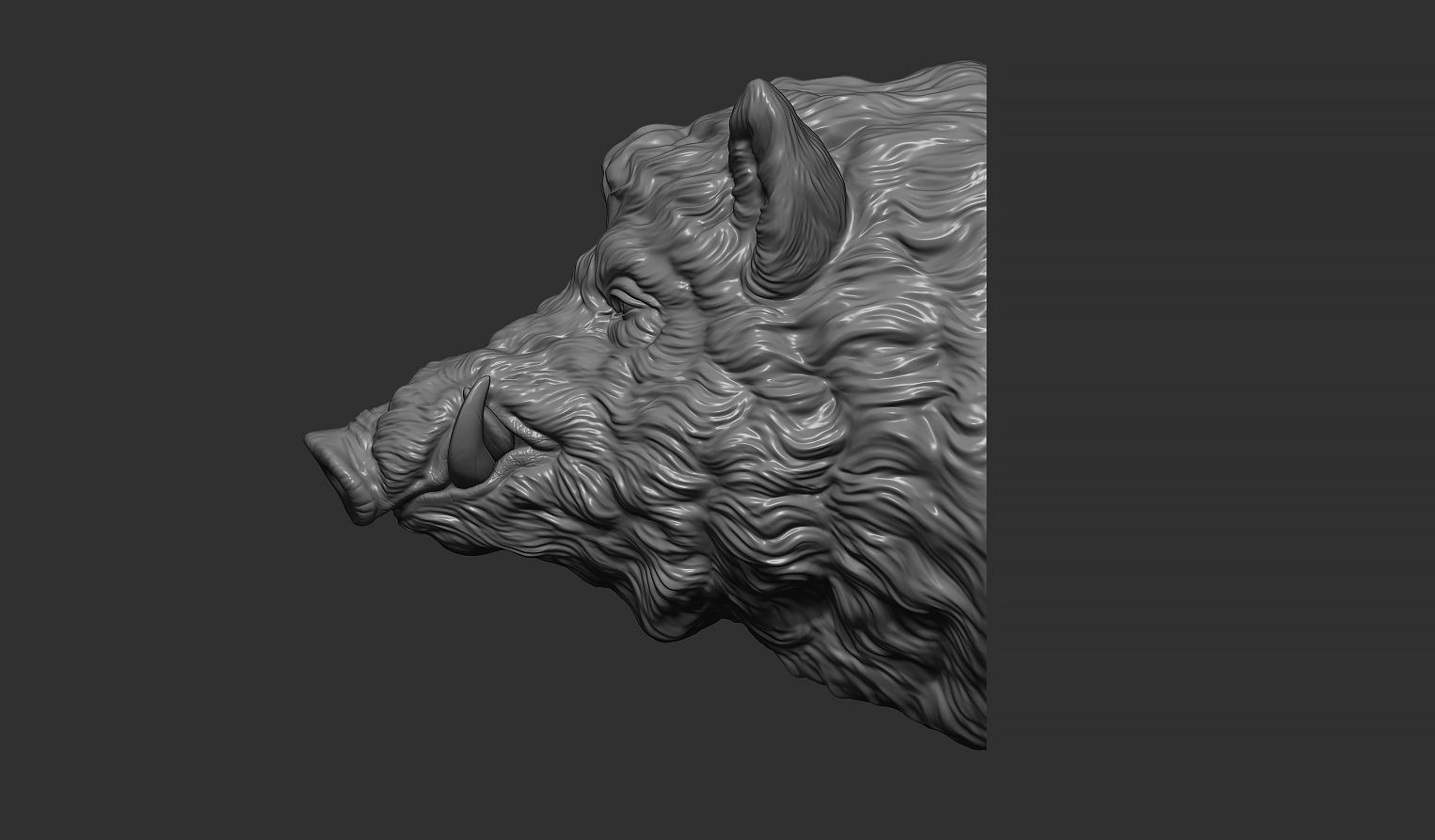 Wild boar head 3D print model_9