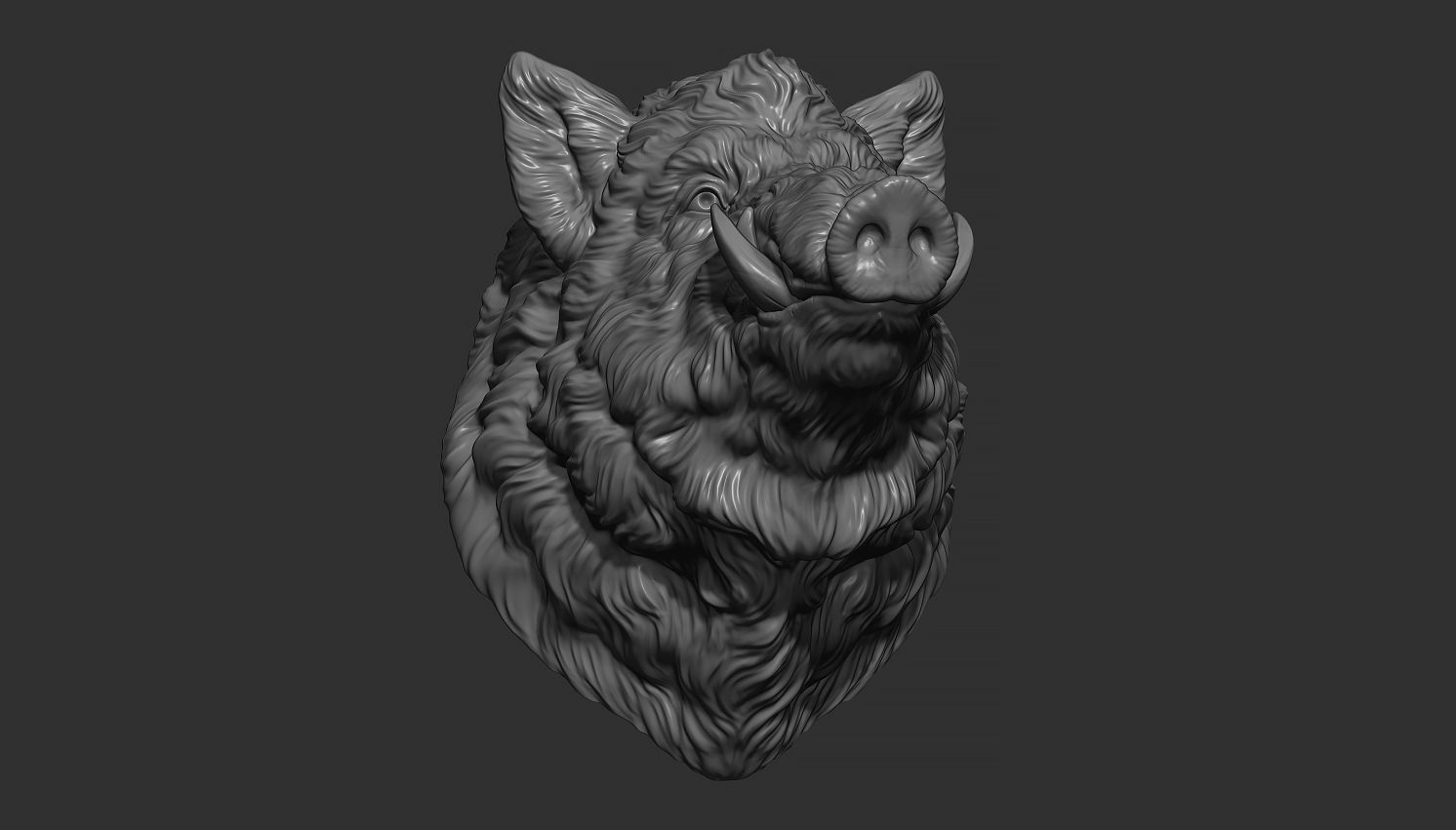 Wild boar head 3D print model_6