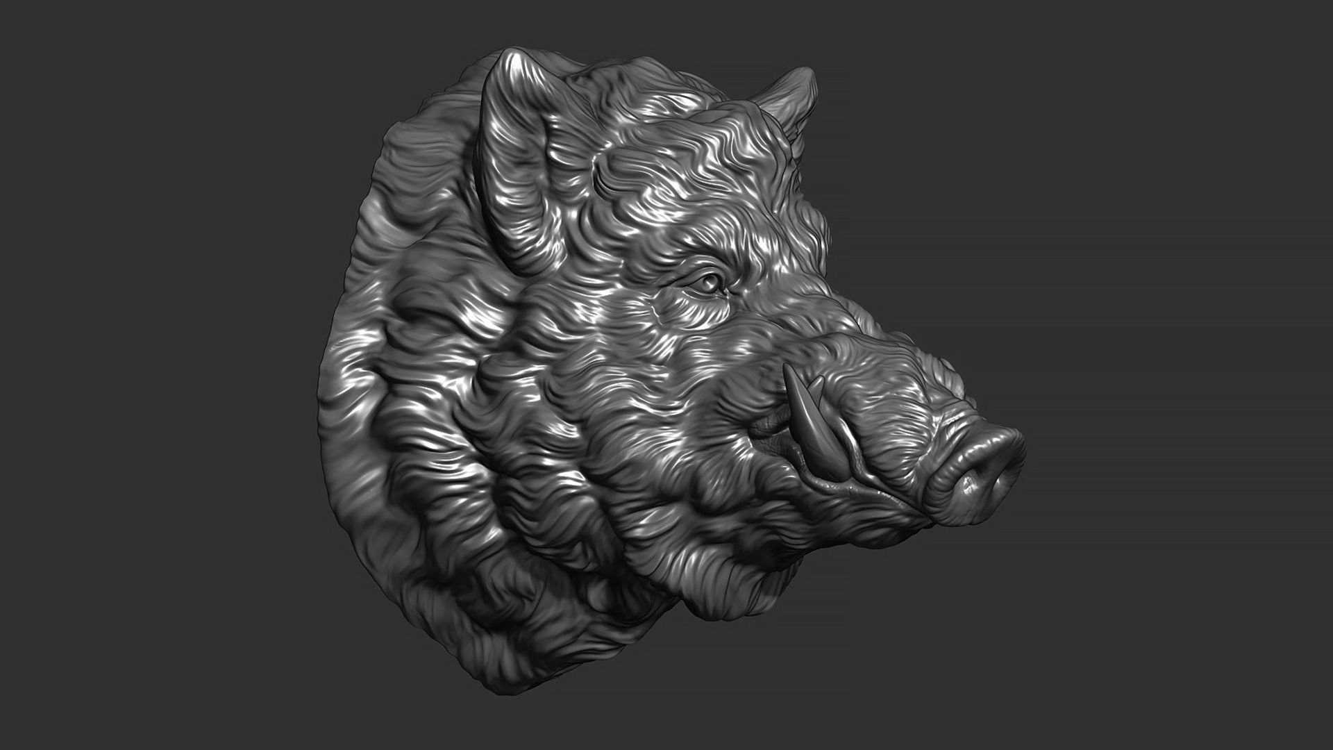 Wild boar head 3D print model_12