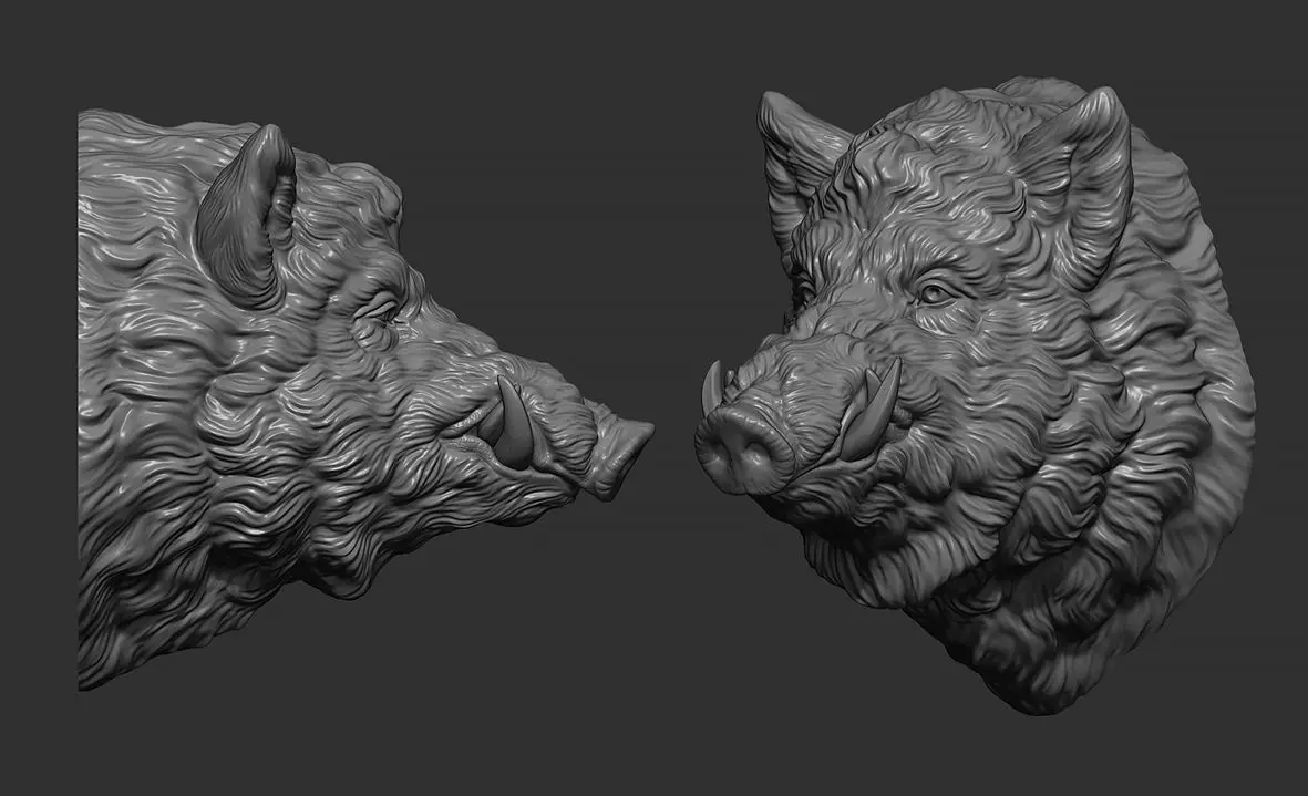Wild boar head 3D print model_0