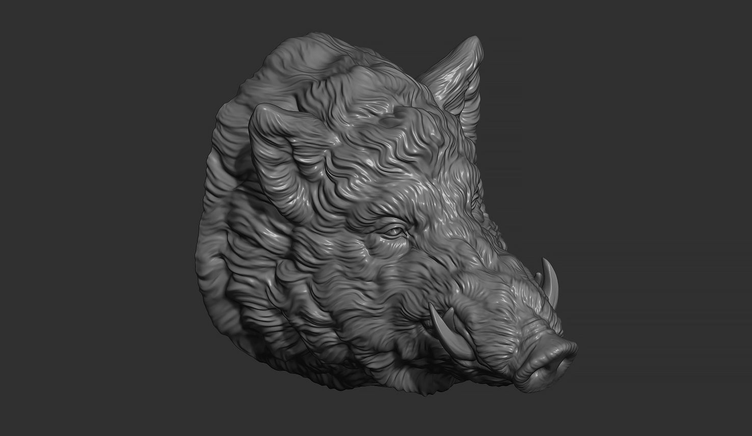 Wild boar head 3D print model_10