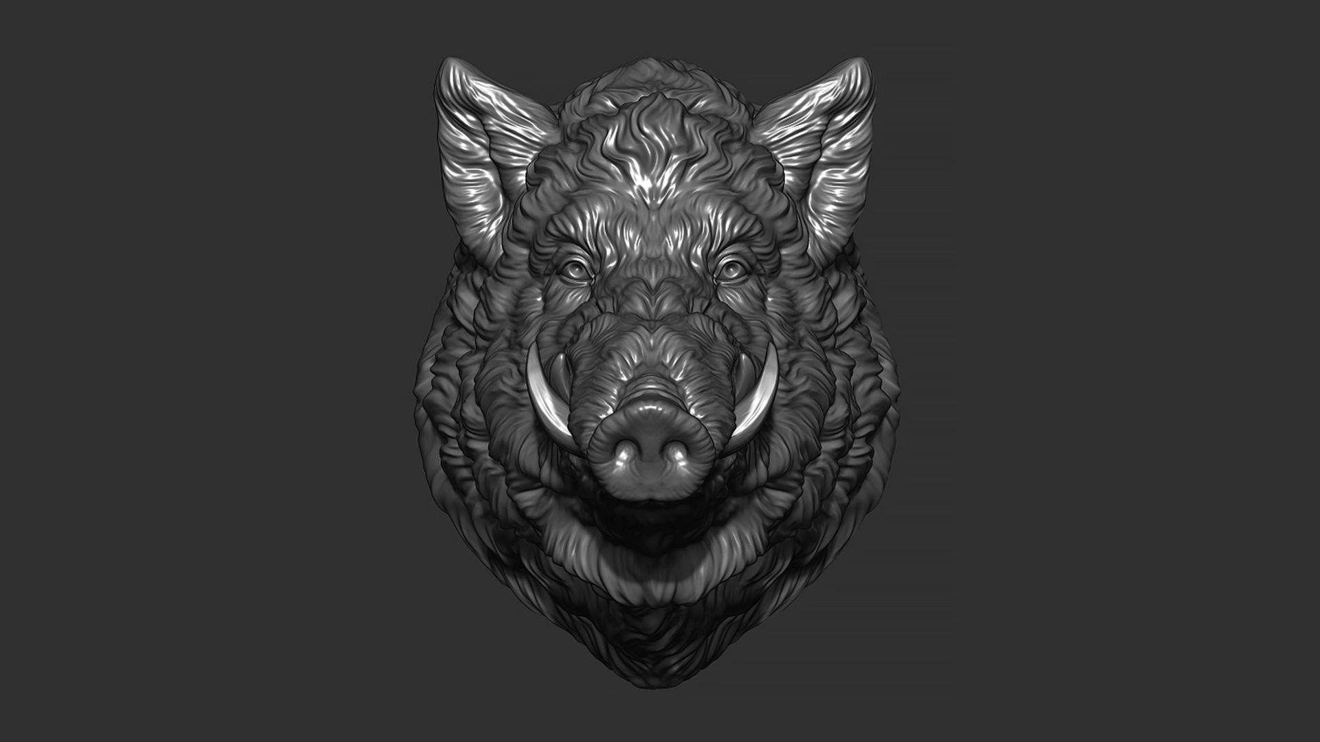 Wild boar head 3D print model_14