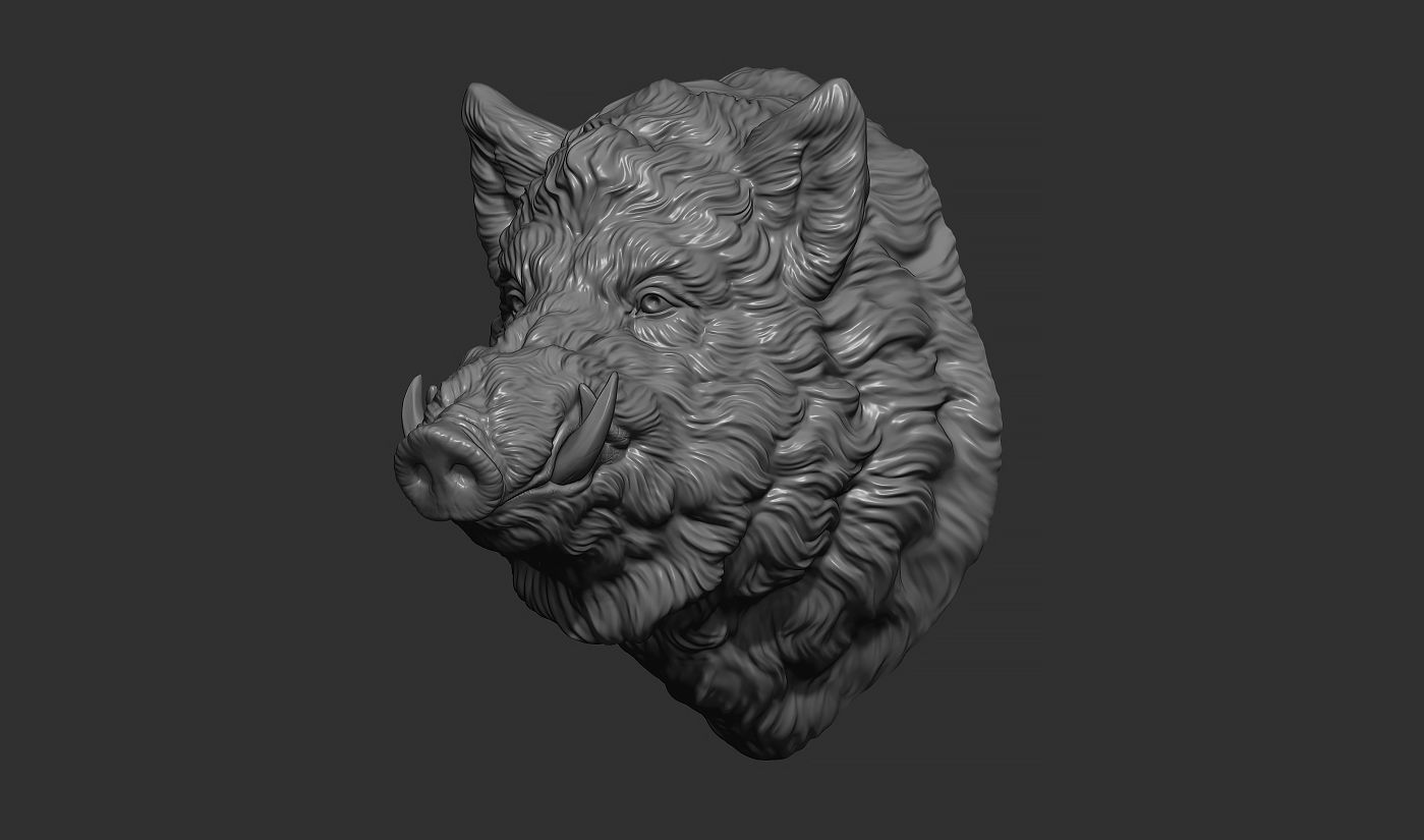Wild boar head 3D print model_7