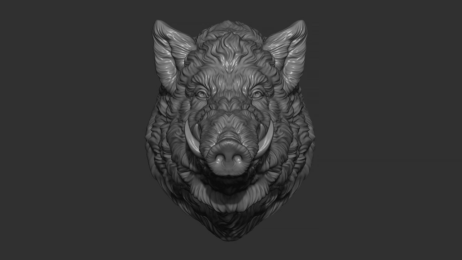 Wild boar head 3D print model_5