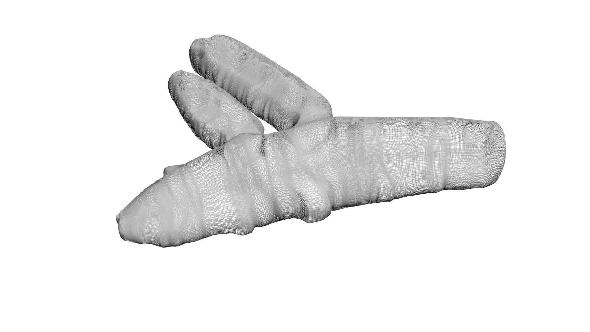 Turmeric 3D model | CGTrader