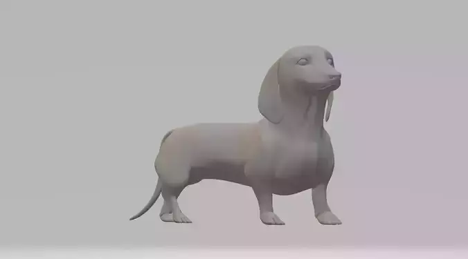 Dachshund Dog