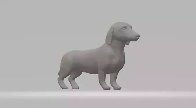 Dachshund Dog