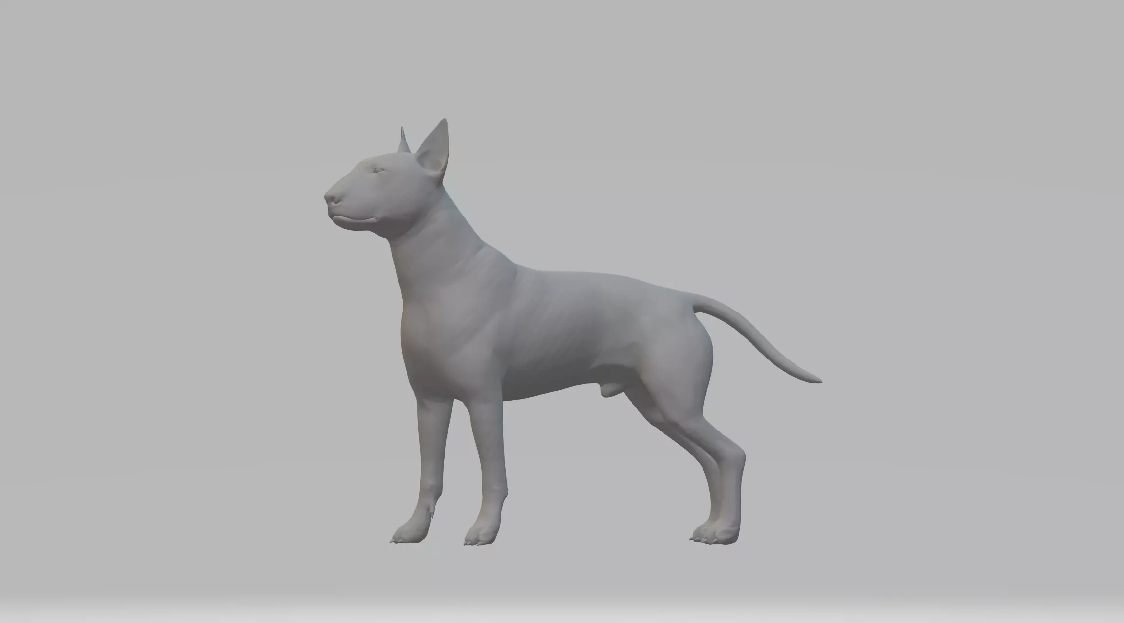 Bull Terrier 3D print model_0