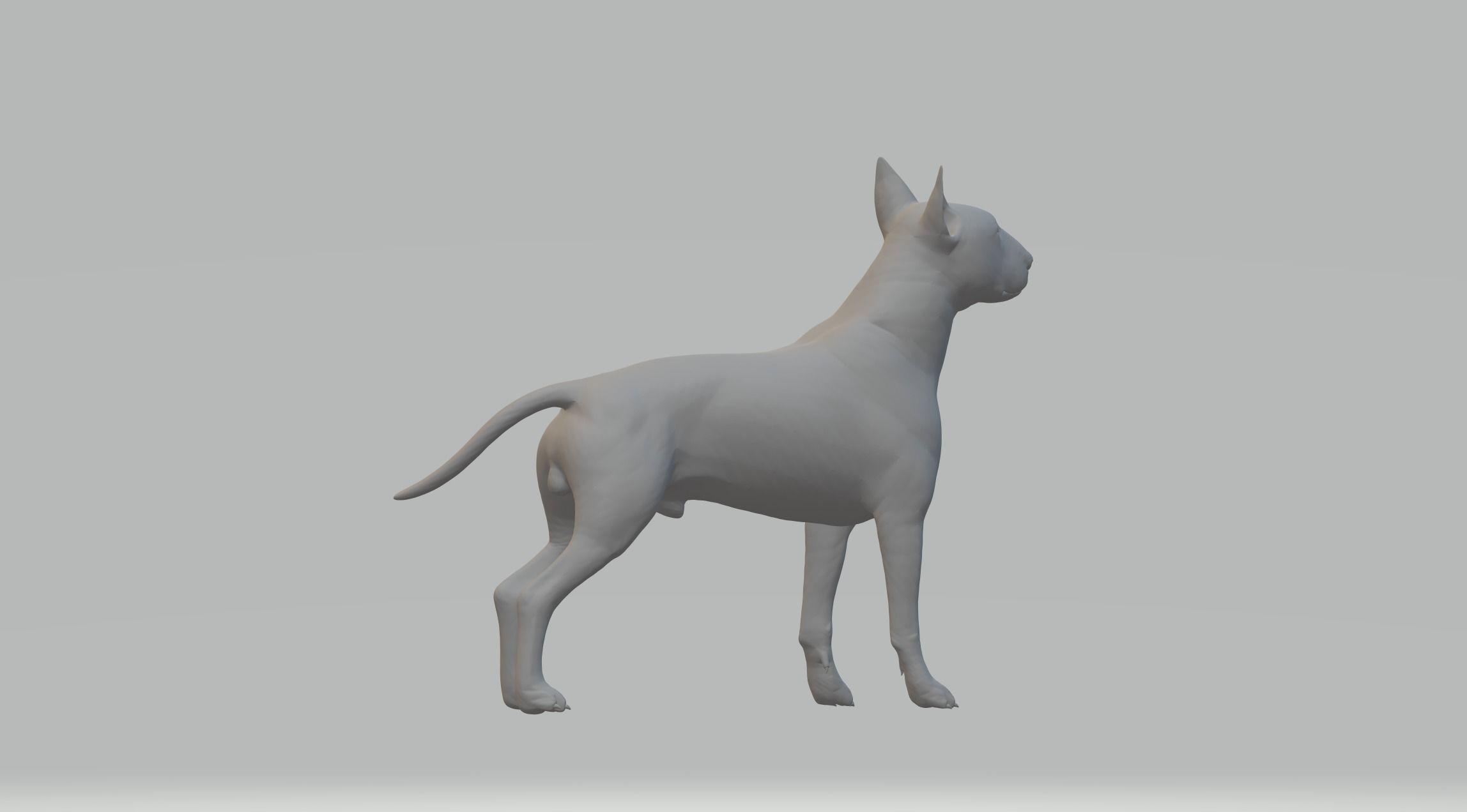 Bull Terrier 3D print model_2