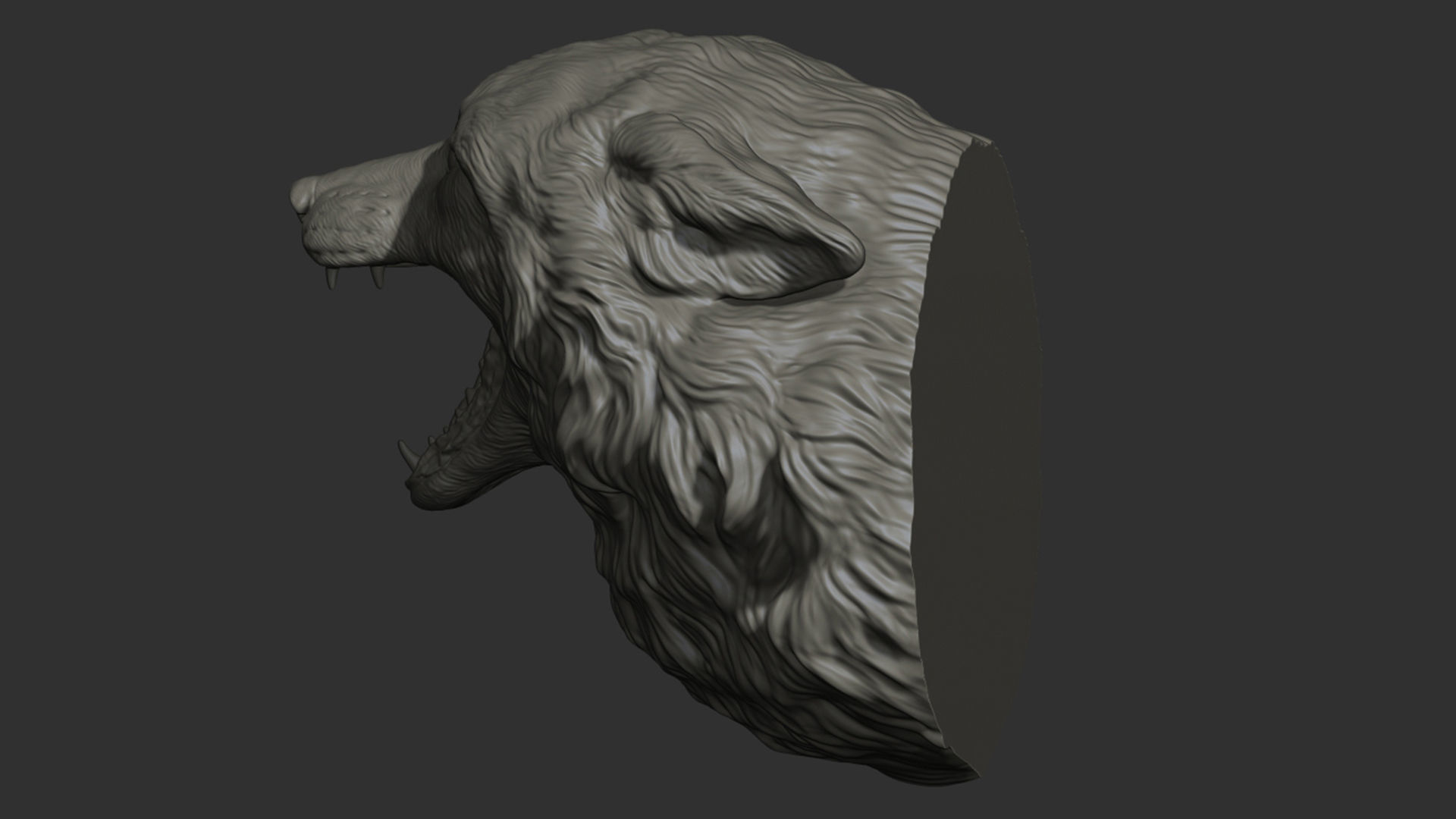 Fox grin head 3D print model_20