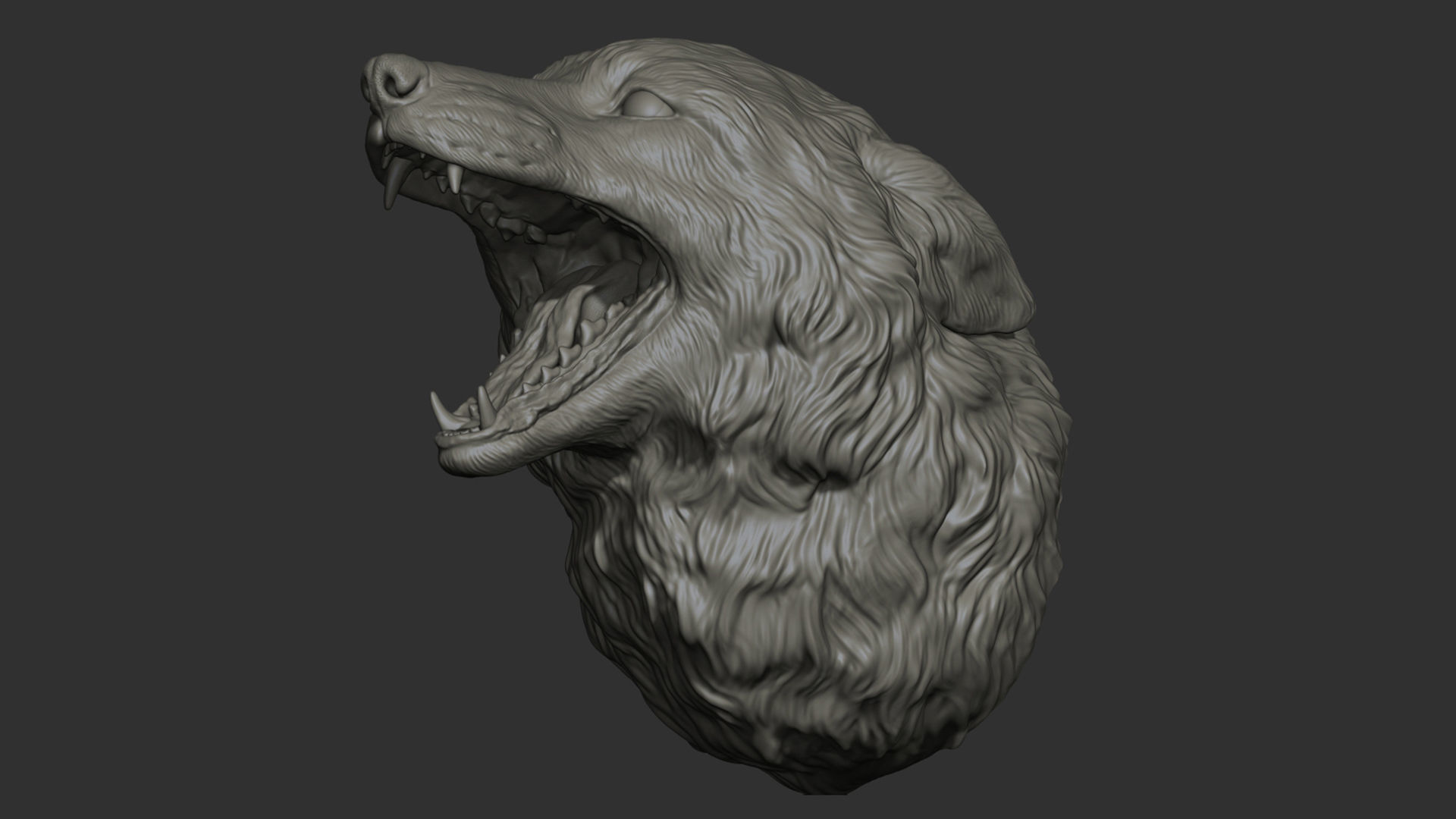 Fox grin head 3D print model_19