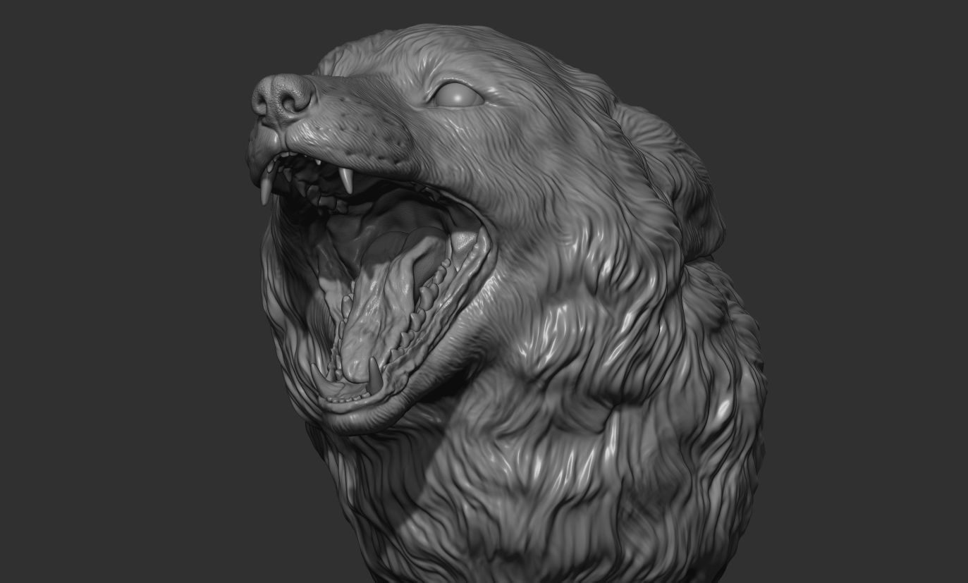 Fox grin head 3D print model_15