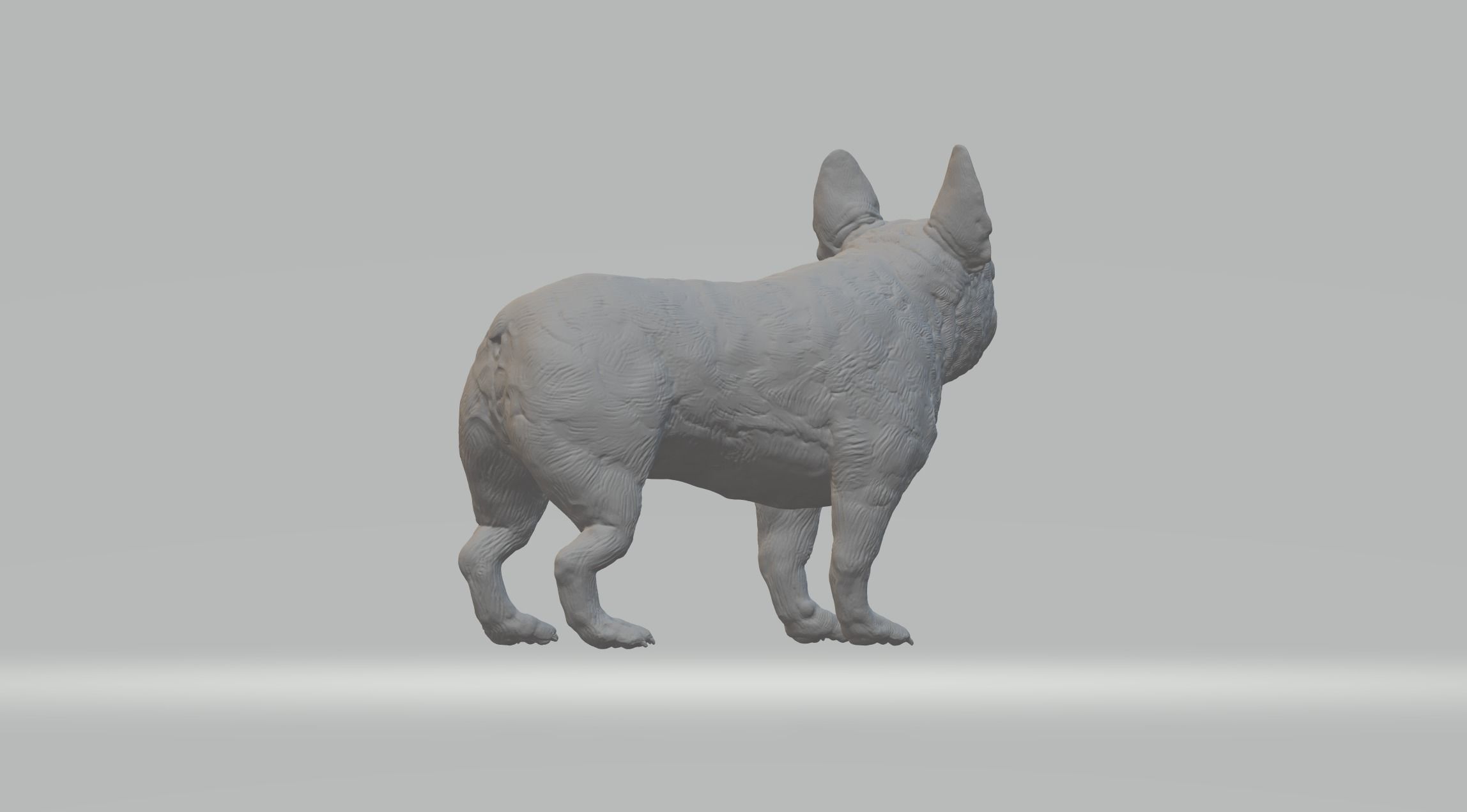 Pug Dog 3D print model_3