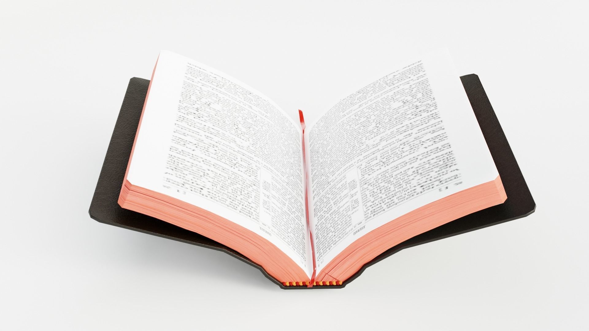 BIBLE RIGGED 3D model_10