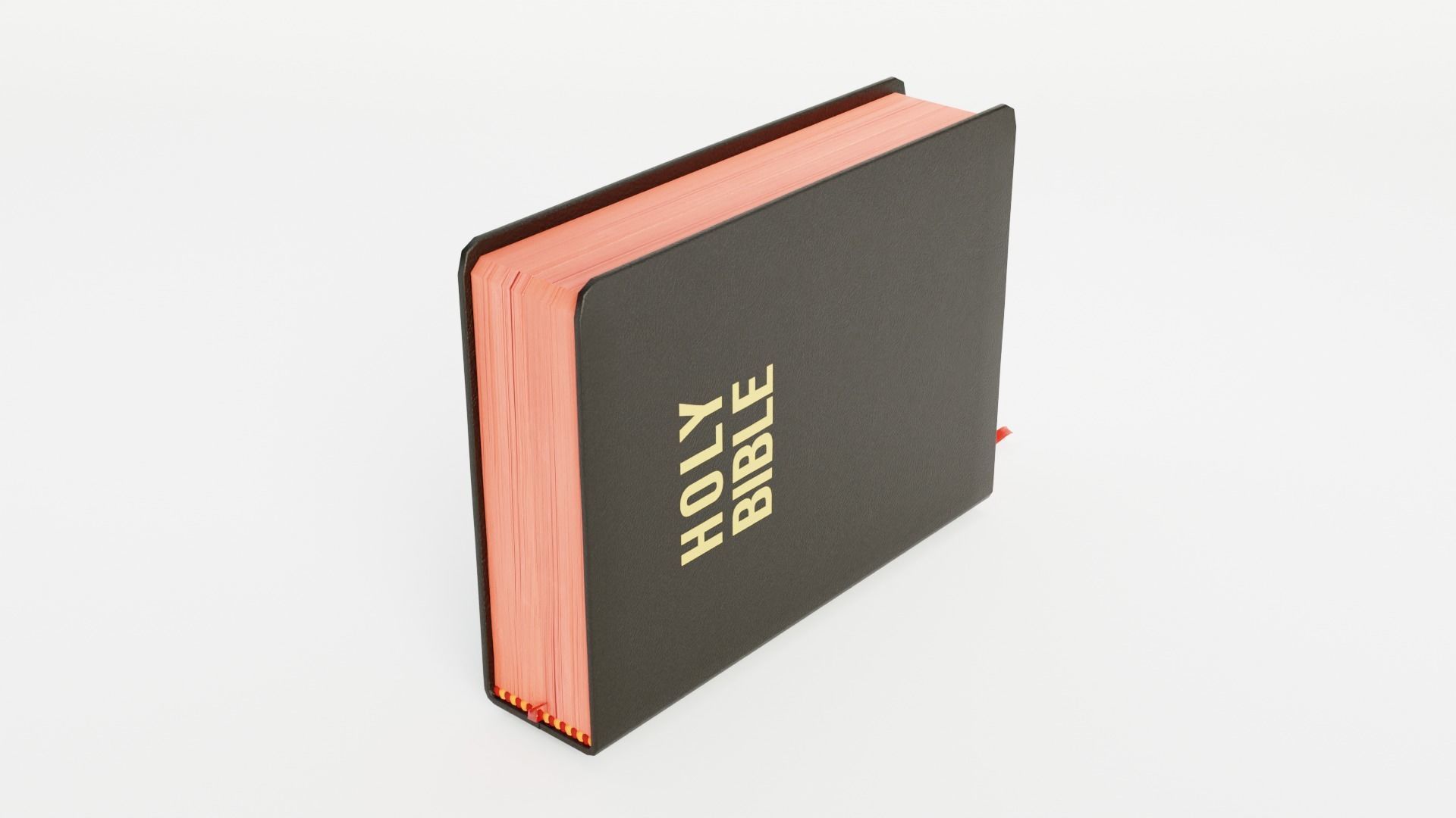 BIBLE RIGGED 3D model_9