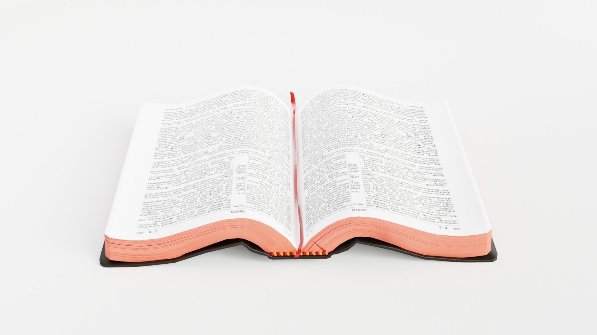 BIBLE RIGGED 3D model_11