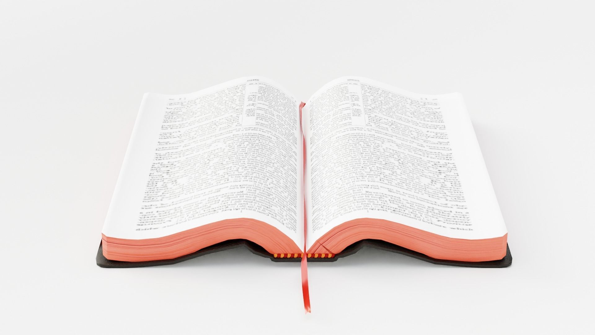 BIBLE RIGGED 3D model_12