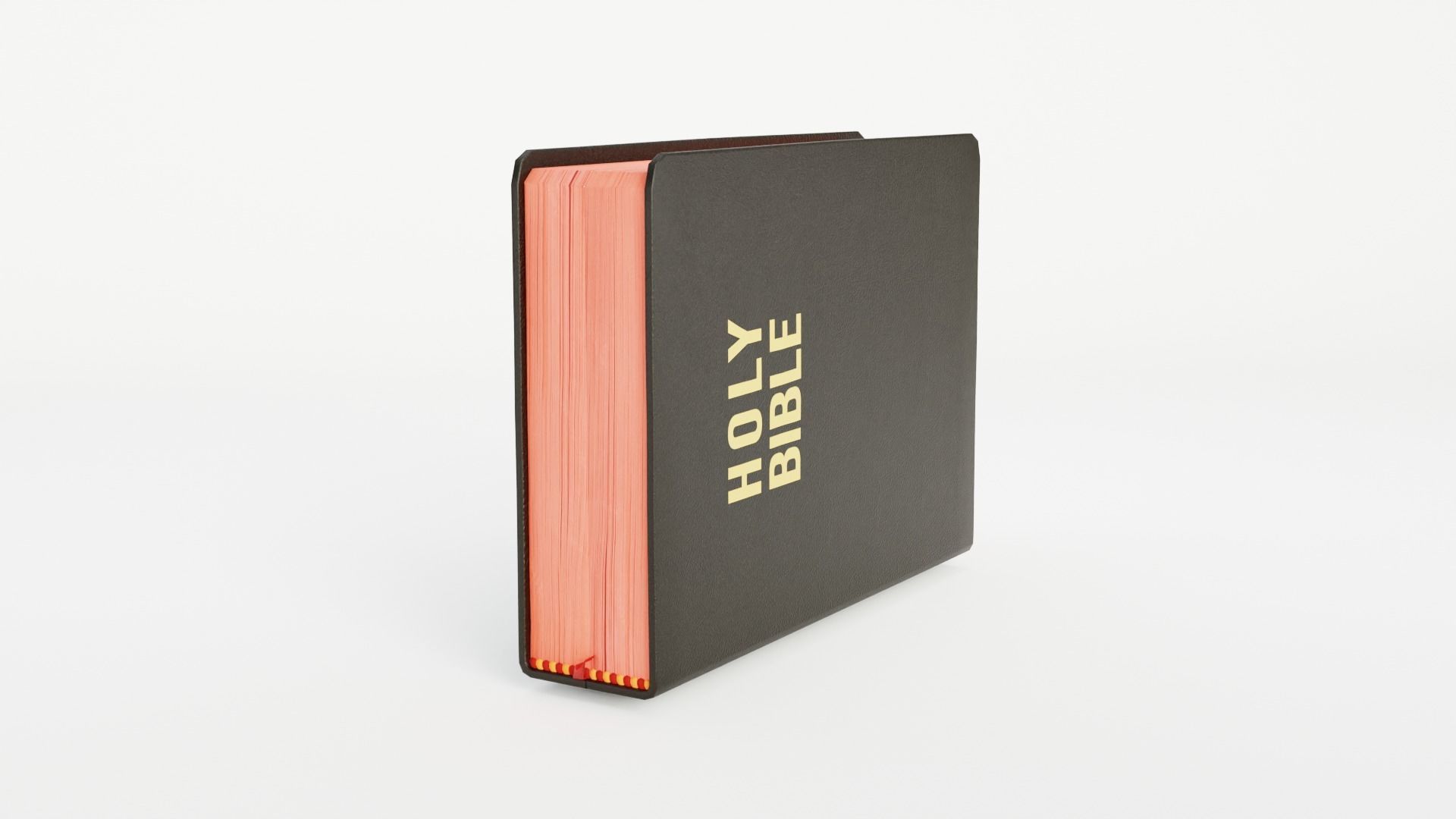 BIBLE RIGGED 3D model_8