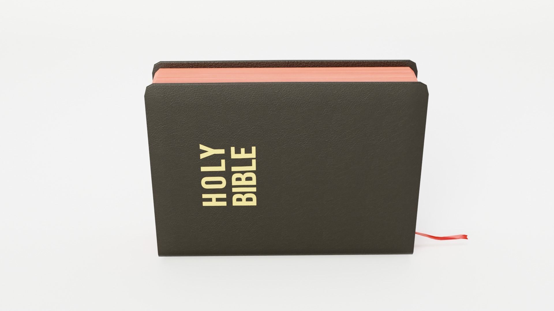 BIBLE RIGGED 3D model_5