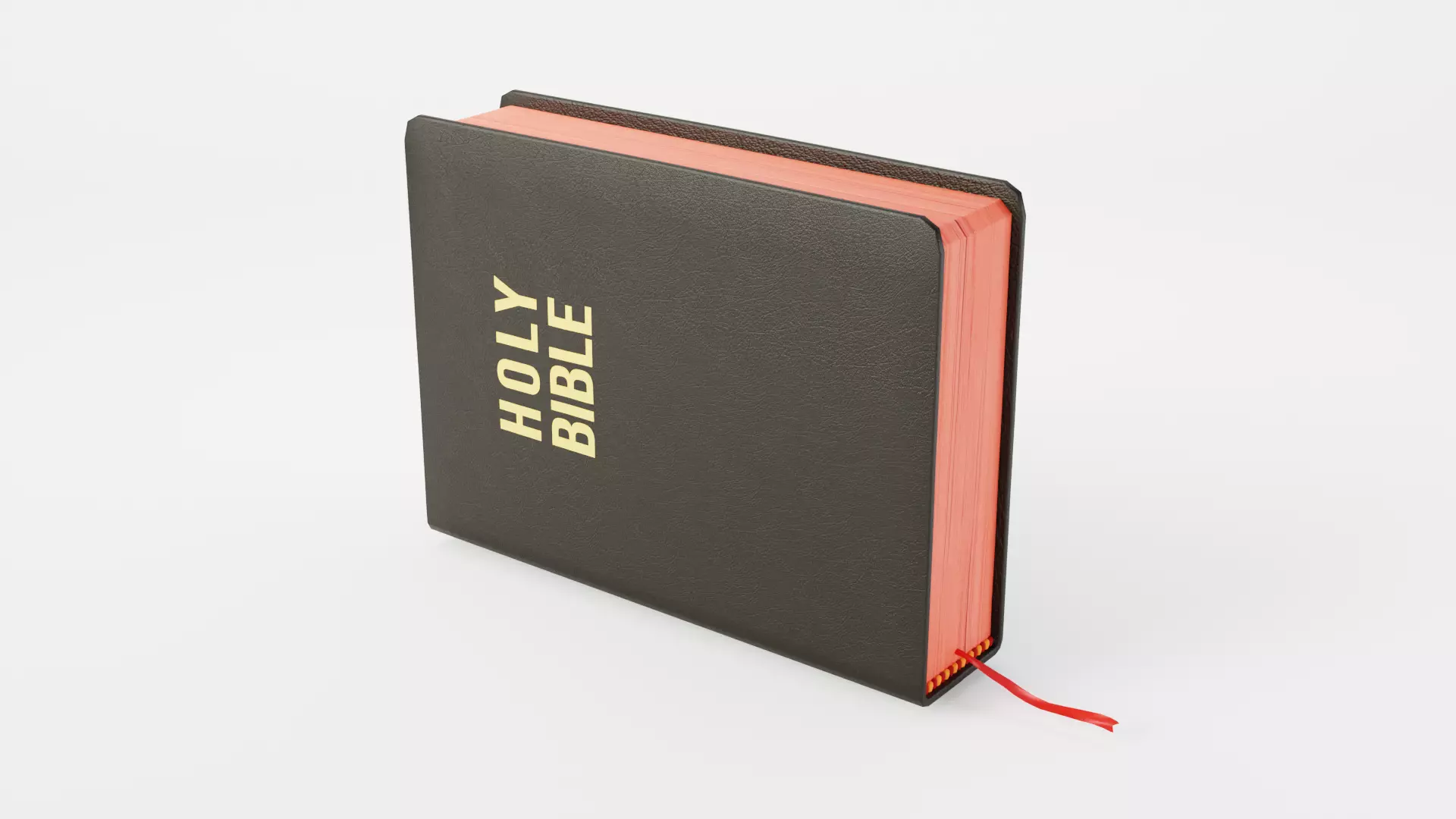 BIBLE RIGGED 3D model_0